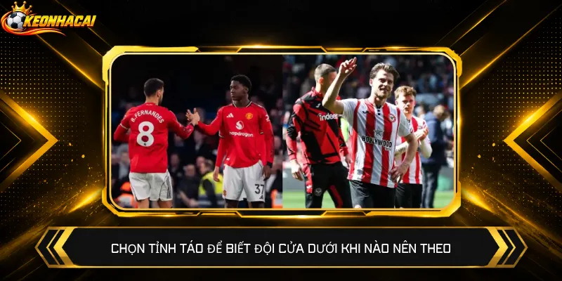Chọn tỉnh táo để biết đội cửa dưới khi nào nên theo