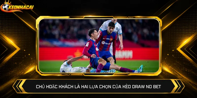 Chủ hoặc khách là hai lựa chọn của kèo Draw No Bet
