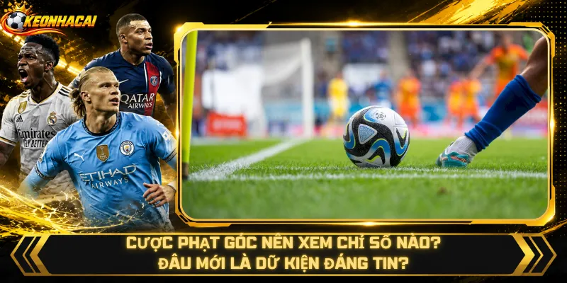 Cược Phạt Góc Nên Xem Chỉ Số Nào – Đâu Mới Là Dữ Kiện Đáng Tin?