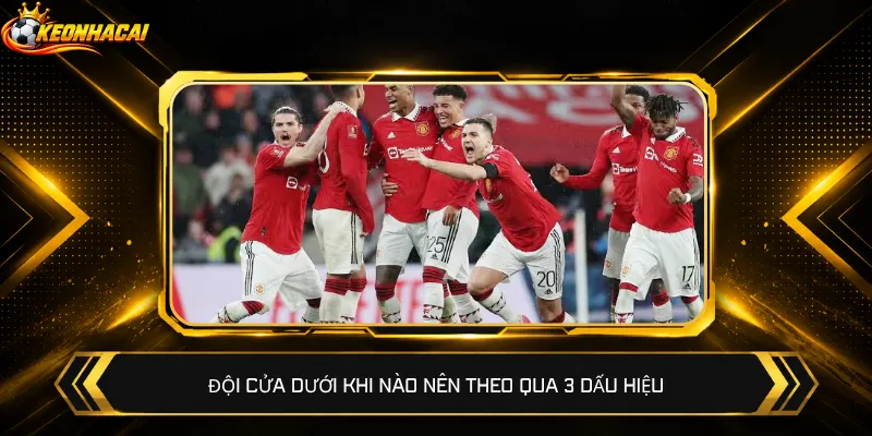 Đội cửa dưới khi nào nên theo qua 3 dấu hiệu