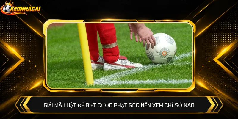 Giải mã luật để biết cược phạt góc nên xem chỉ số nào