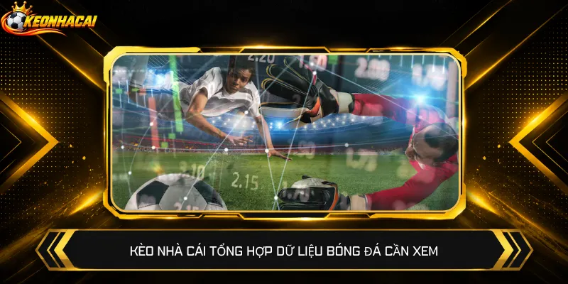 Kèo nhà cái tổng hợp dữ liệu bóng đá cần xem