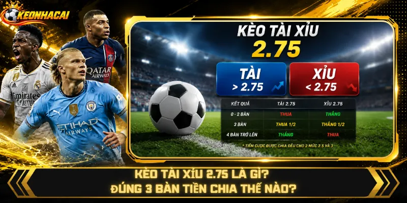 Kèo Tài Xỉu 2.75 Là Gì? Đúng 3 Bàn Tiền Chia Thế Nào?