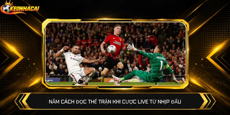 Nắm cách đọc thế trận khi cược live từ nhịp đấu