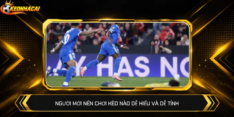 Người mới nên chơi kèo nào dễ hiểu và dễ tính