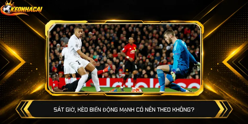 Sát giờ, kèo biến động mạnh có nên theo không?