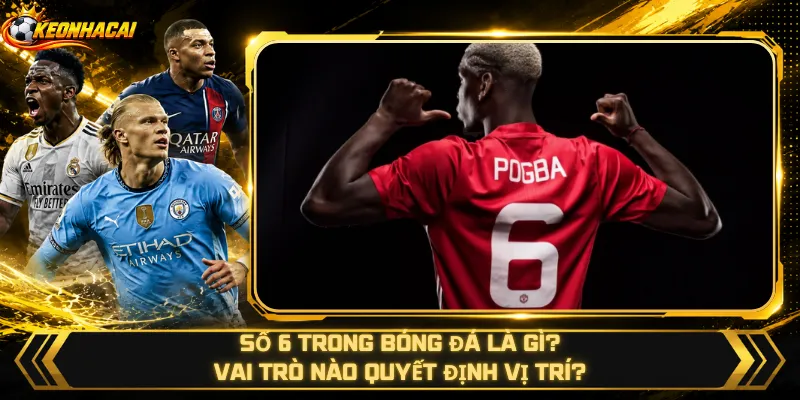 Số 6 Trong Bóng Đá Là Gì – Vai Trò Nào Quyết Định Vị Trí?