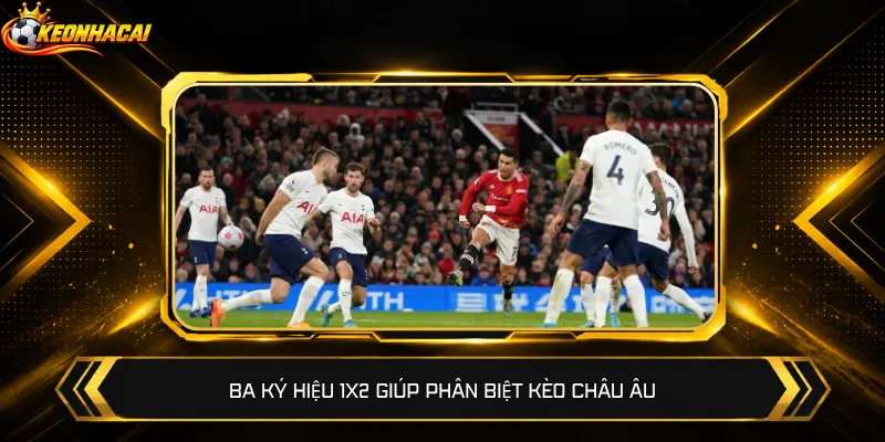 Soi phong độ lực lượng giúp chọn kèo châu Âu sát hơn